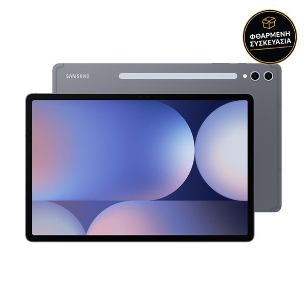Samsung Galaxy Tab S10+ 12GB/256GB Moonstone Gray Wi-Fi